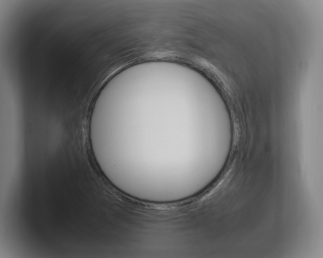 X0000102261361200807250829