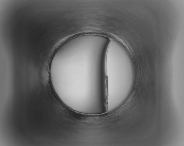 X0000102261363200807250829