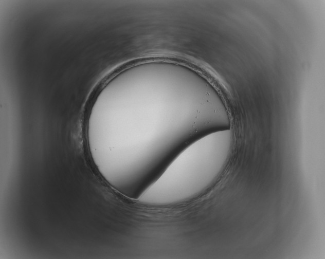 X0000102261364200807250829