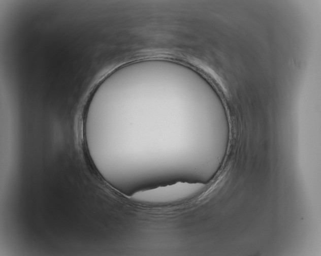 X0000102261365200807250829