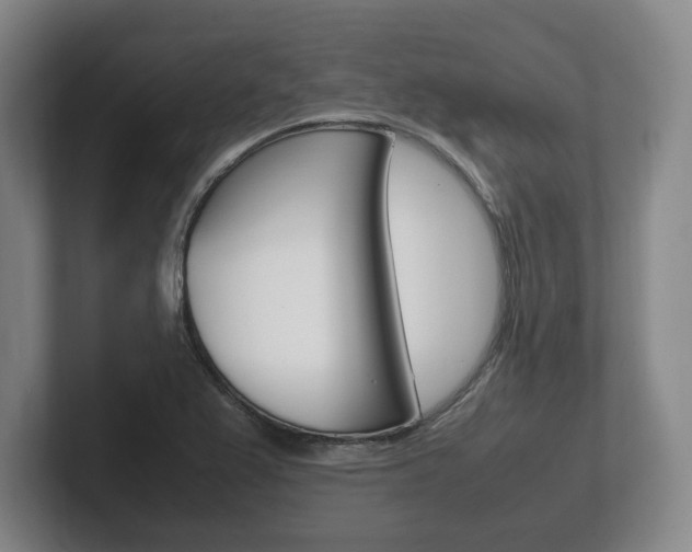 X0000102261367200807250829