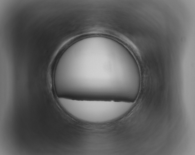 X0000102261368200807250829