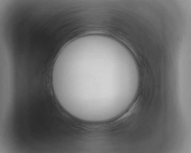 X0000102261369200807250829