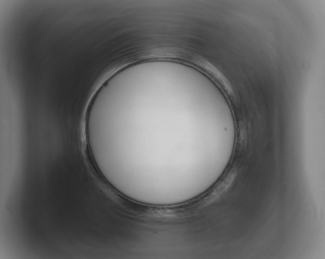 X0000102261370200807250829