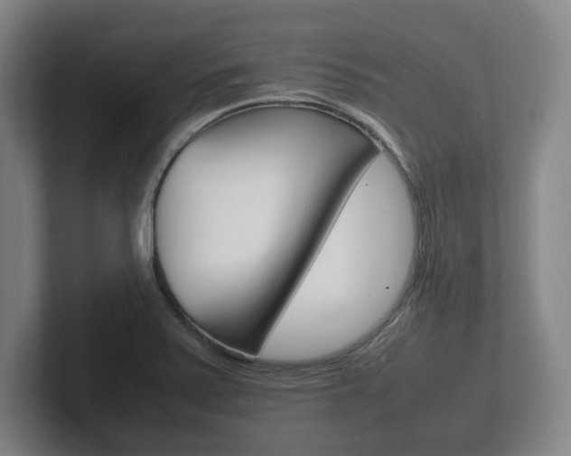 X0000102261371200807250829