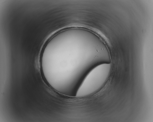X0000102261372200807250829