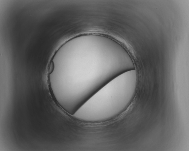 X0000102261374200807250829