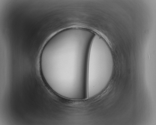 X0000102261375200807250829