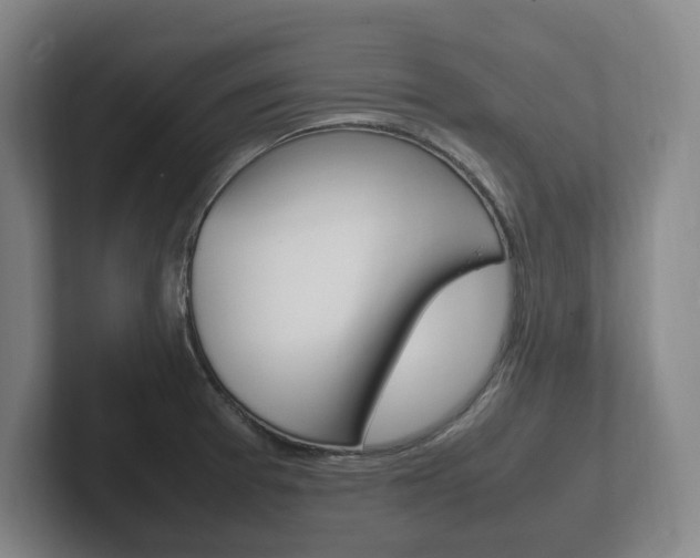 X0000102261377200807250829