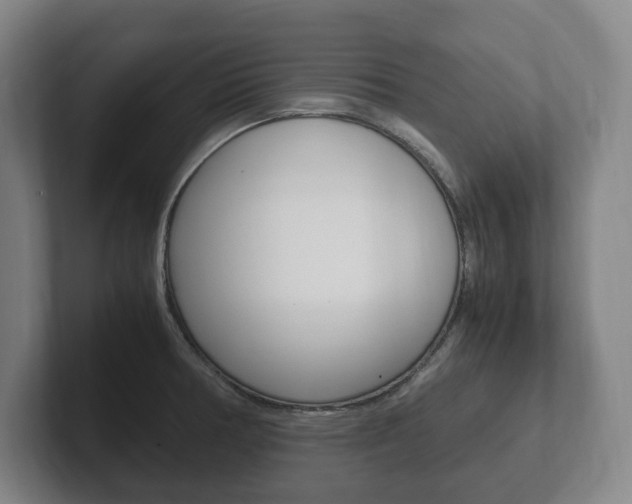 X0000102261378200807250829