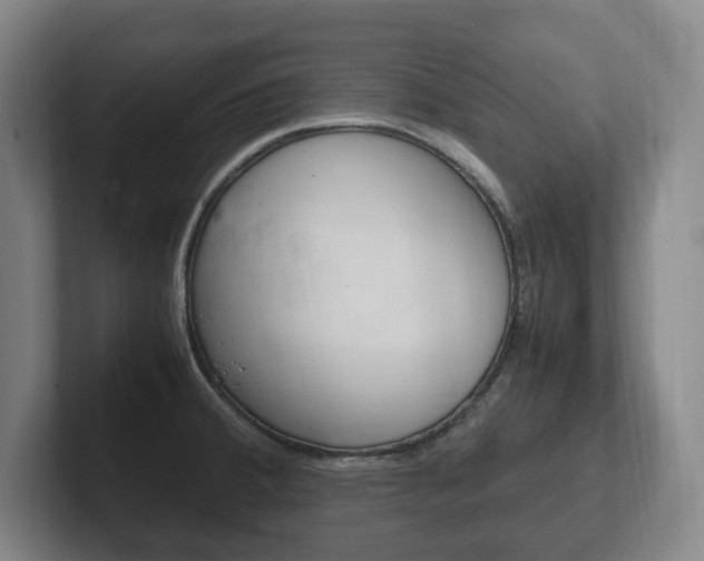 X0000102261380200807250829