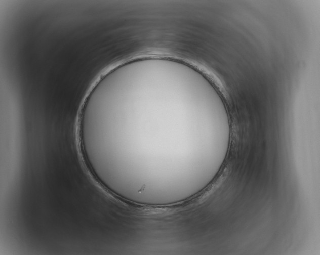 X0000102261382200807250829