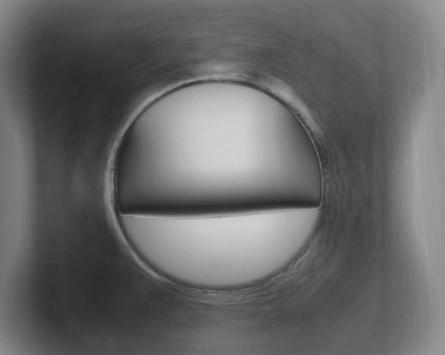 X0000102261383200807250829