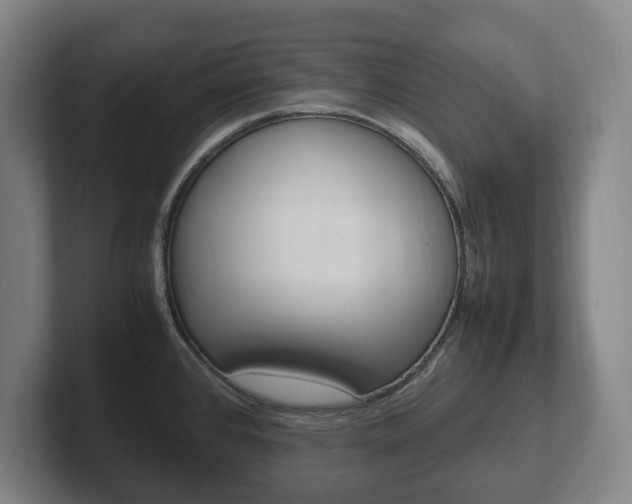 X0000102261384200807250829