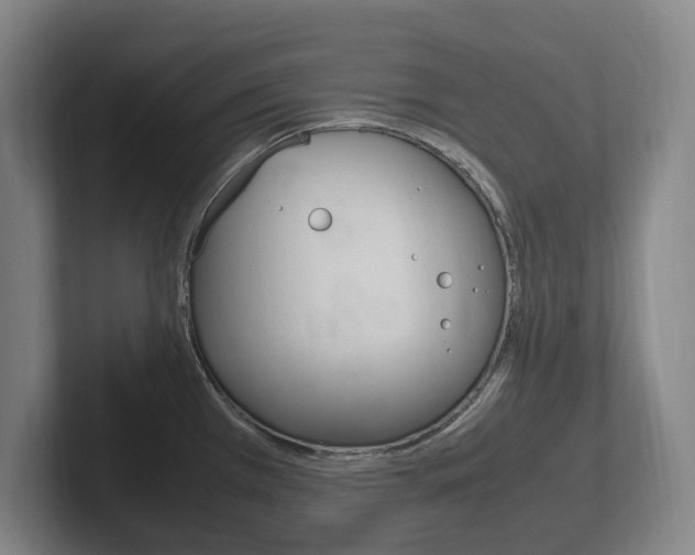 X0000102261385200807250829