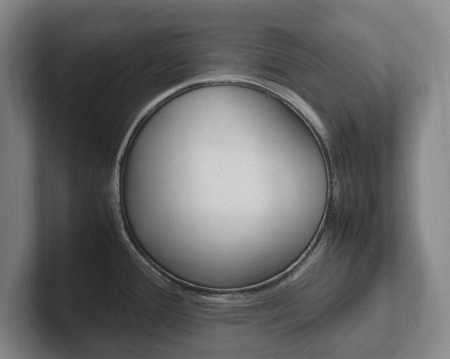 X0000102261388200807250829