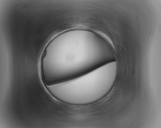 X0000102261391200807250829