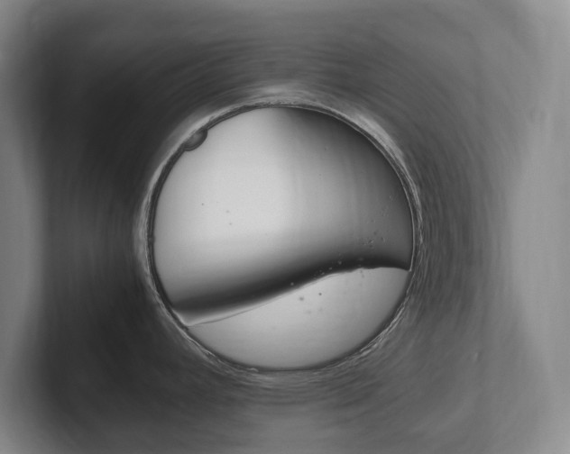 X0000102261392200807250829