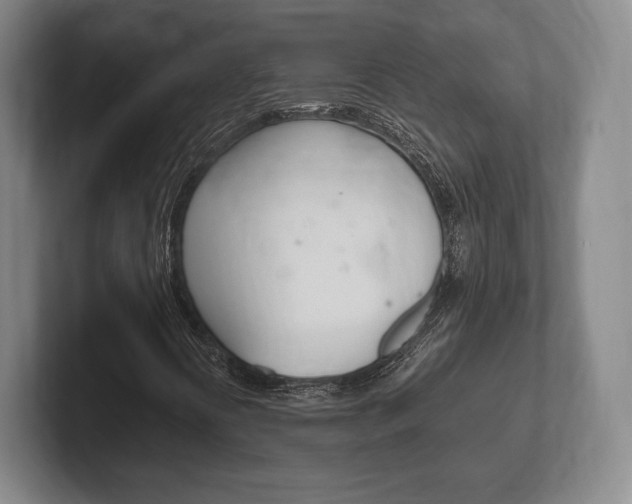 X0000102261394200807250828