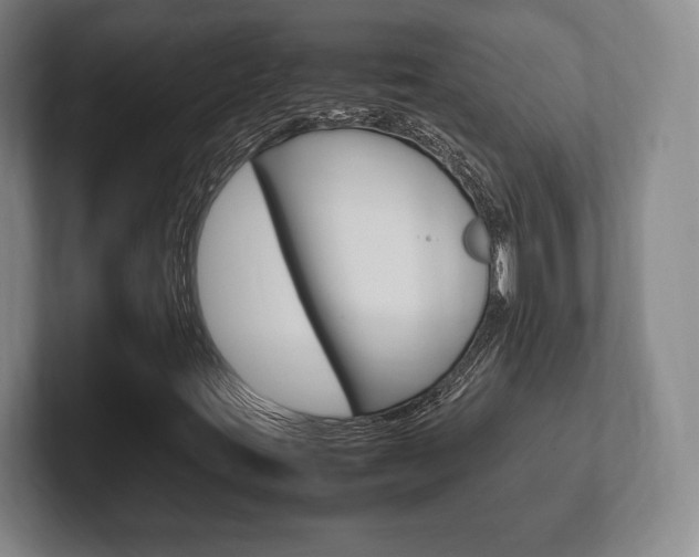 X0000102261395200807250828