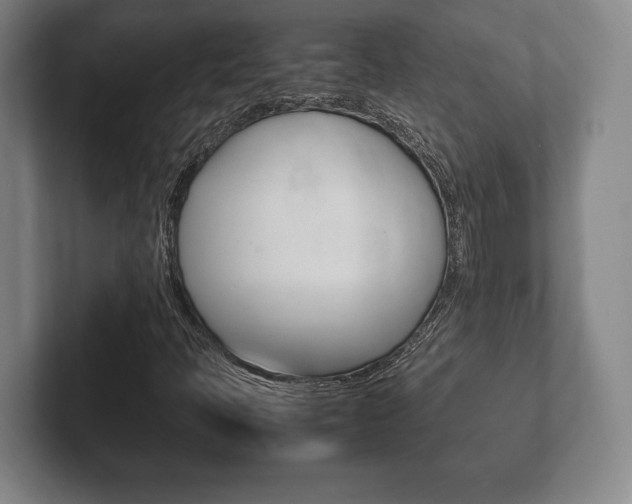 X0000102261397200807250828