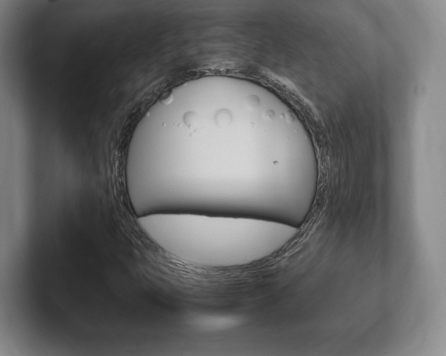 X0000102261399200807250828
