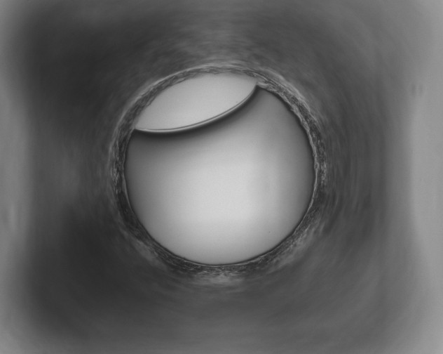 X0000102261400200807250828