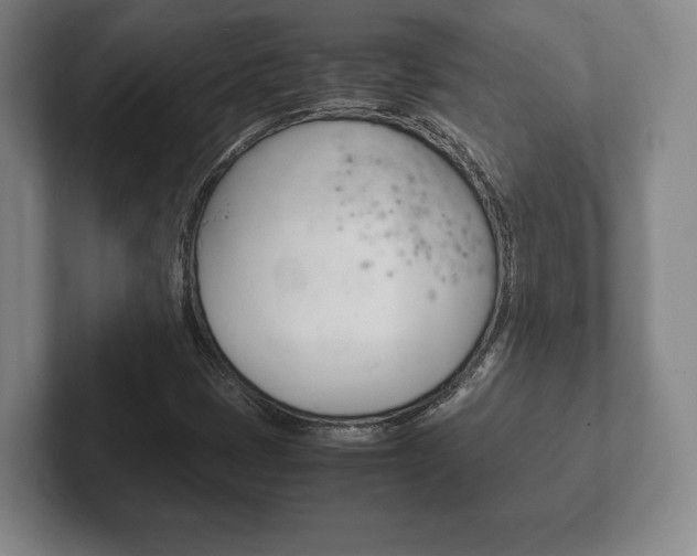X0000102261401200807250828