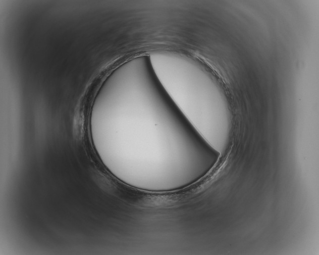 X0000102261402200807250828