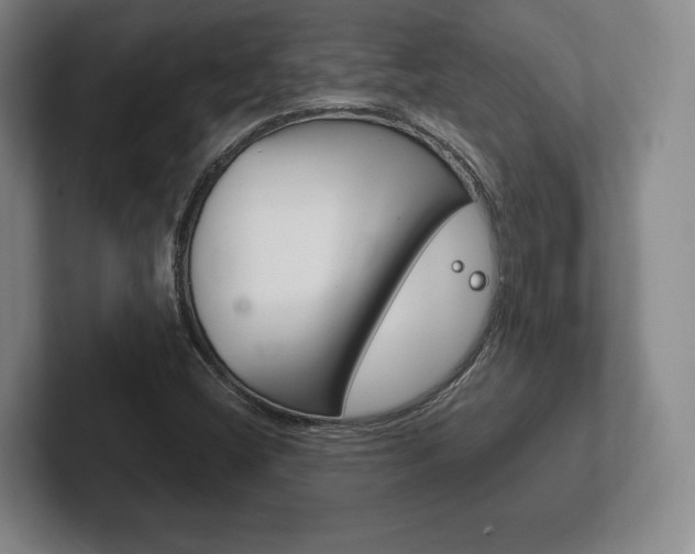 X0000102261404200807250828
