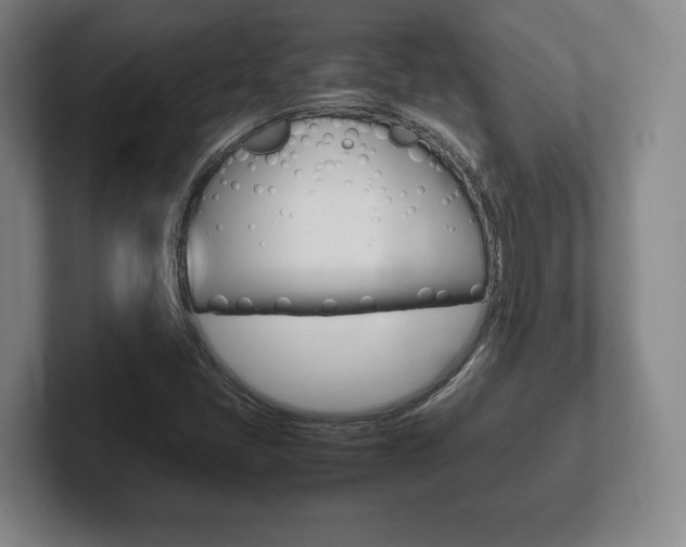 X0000102261405200807250828