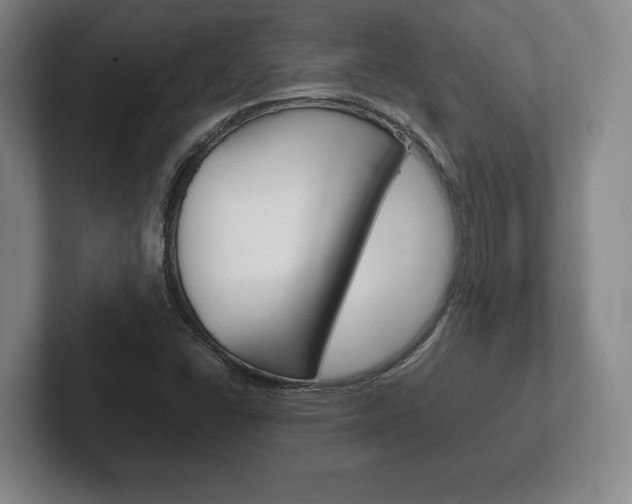 X0000102261406200807250828