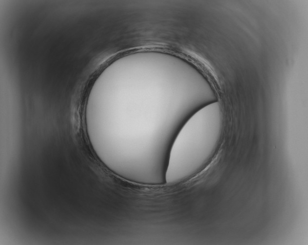 X0000102261407200807250828