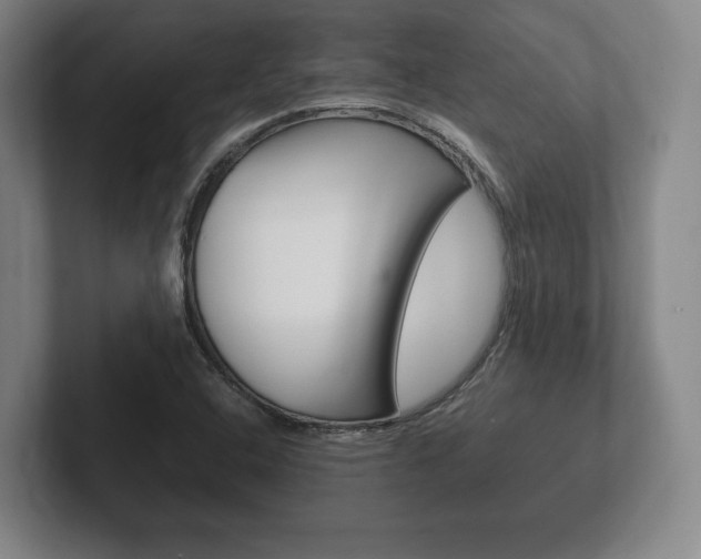 X0000102261408200807250828