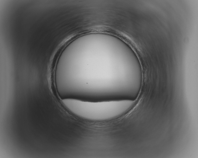 X0000102261410200807250828