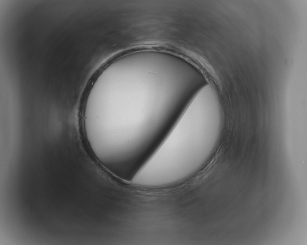 X0000102261412200807250828