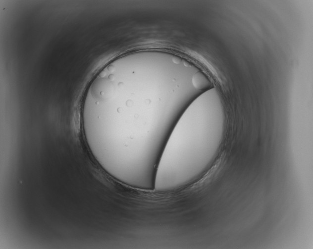 X0000102261413200807250828