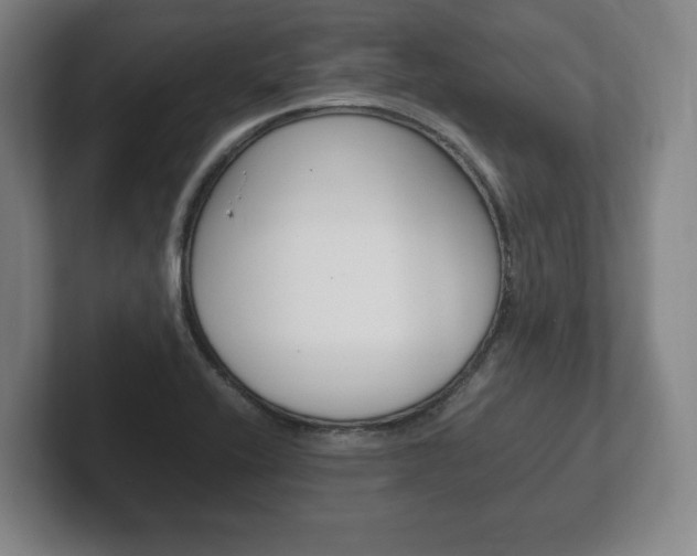 X0000102261416200807250828