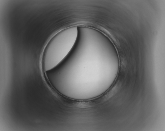 X0000102261418200807250828