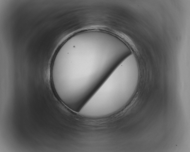 X0000102261420200807250829