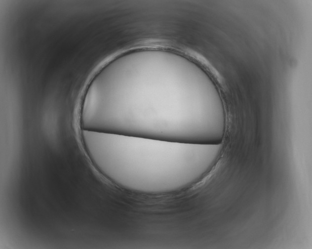 X0000102261421200807250829