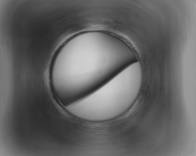 X0000102261422200807250829