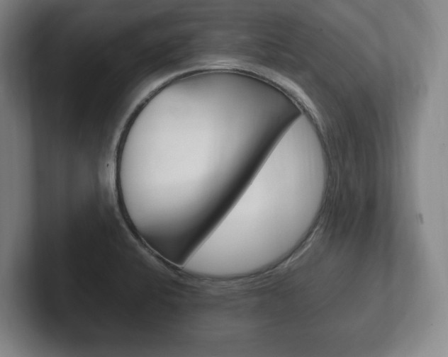 X0000102261424200807250829