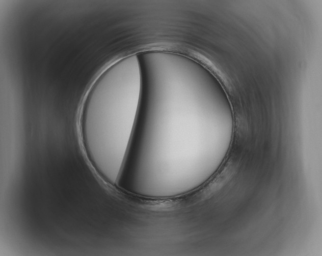 X0000102261426200807250829