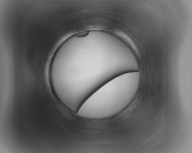 X0000102261427200807250829