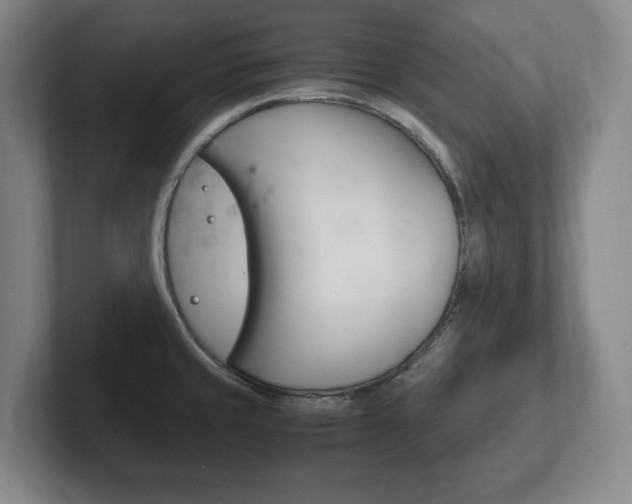 X0000102261429200807250829