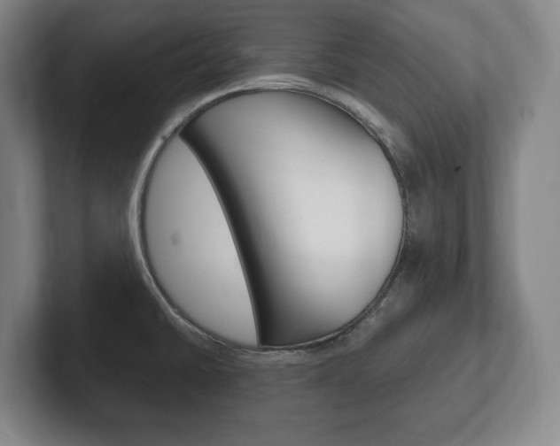 X0000102261430200807250829