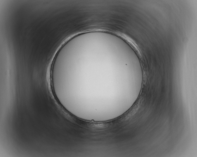 X0000102261431200807250829