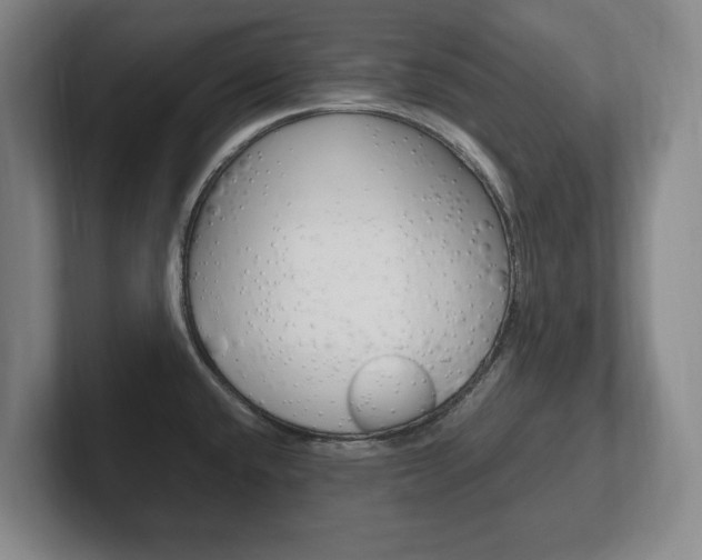 X0000102261432200807250829