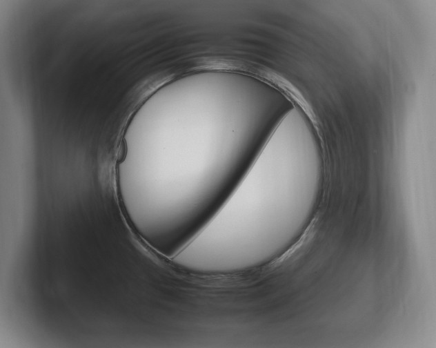 X0000102261433200807250829